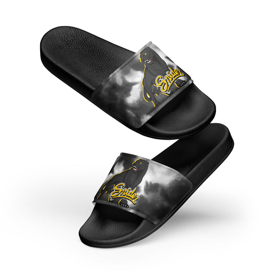 Snider H.S. Men’s slides