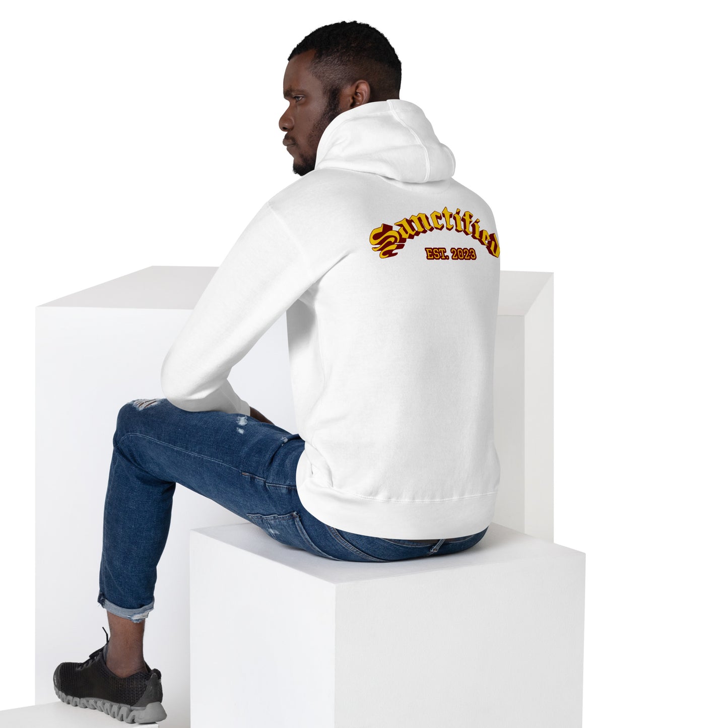 BOLD AS A LION- EMBROIDERED FRONT Unisex Hoodie